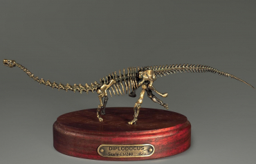 Модель скелета динозавра Diplodocus (вариант 1) - «globural.ru» - Новосибирск