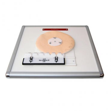 Комплекс "Изучение зубьев" - «globural.ru» - Новосибирск