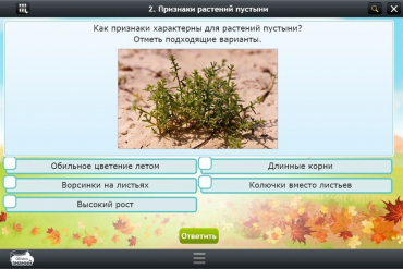 Интерактивные курсы. Окружающий мир 3 класс. Базовый - «globural.ru» - Новосибирск