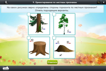 Интерактивные курсы. Окружающий мир 1 класс. Базовый - «globural.ru» - Новосибирск