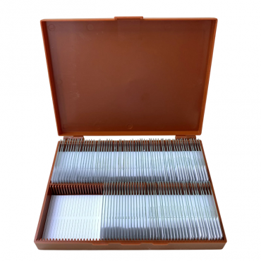 Комплект микропрепаратов по анатомии, ботанике, зоологии, общей биологии - «globural.ru» - Новосибирск