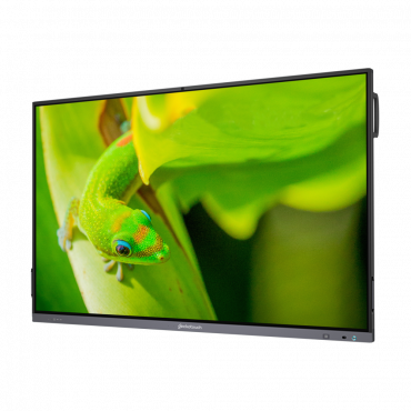 Интерактивный программно-аппаратный комплекс Geckotouch Interactive IP65GT-C в комплекте с настенным креплением - «globural.ru» - Новосибирск