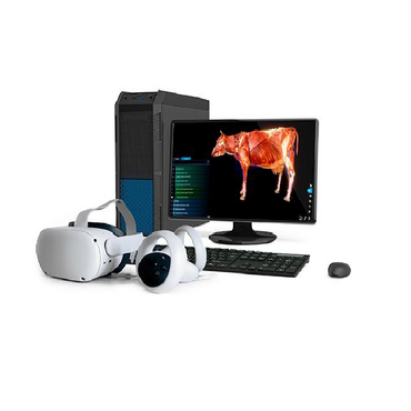 Интерактивный учебный комплекс «Анатомия Коровы» - «globural.ru» - Новосибирск