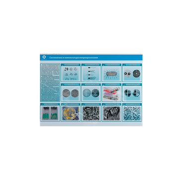 Стенд-планшет светодинамический «Изучение систематики и номенклатуры микроорганизмов» - «globural.ru» - Новосибирск