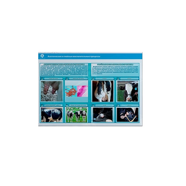 Стенд-планшет светодинамический «Изучение асептических и гнойных воспалительных процессов» - «globural.ru» - Новосибирск