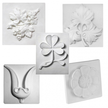 Комплект гипсовых моделей растений  - «globural.ru» - Новосибирск